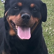 Jett von der Wasserstadt