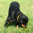 Smelling the grass