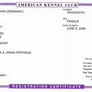 Jule's AKC Registration