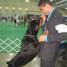 There is no bond stronger than a Boy and His Dog.