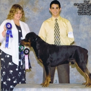 UKC Grand Champion Royal's Zeus Vom Rouk Haus